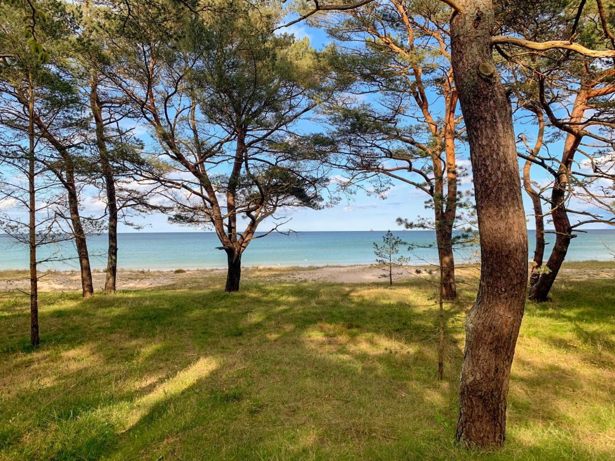 Duenenpark Binz - Wg 40 "Treibgut" Leilighet Eksteriør bilde